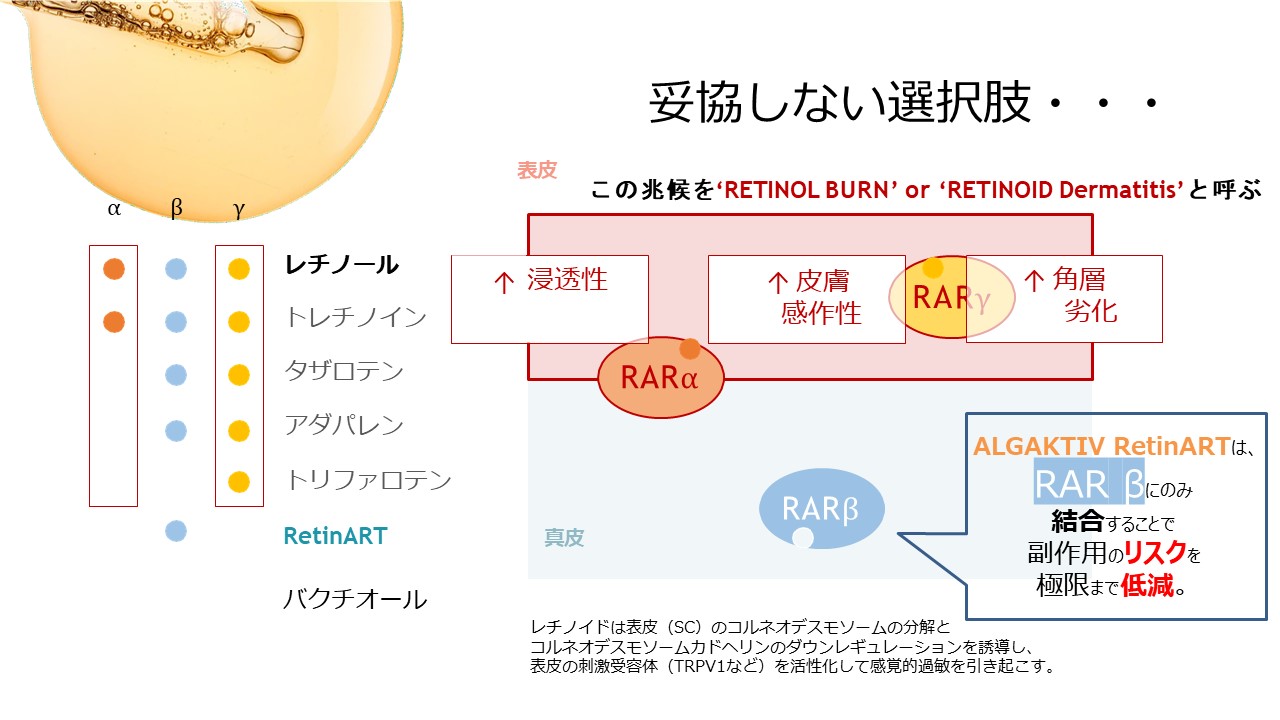 有効性・安全性でレチノールを超える!? 植物由来レチノール代替原料“ALGAKTIV RetinART” 原料紹介 株式会社GSI